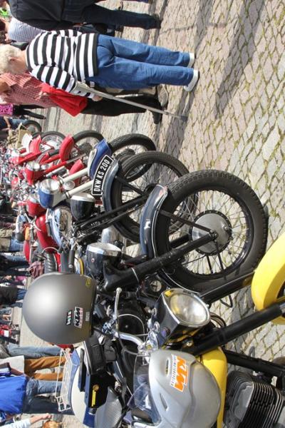 Arkady 2015 047