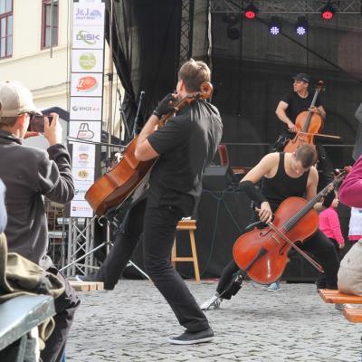 Arkady 2015 225