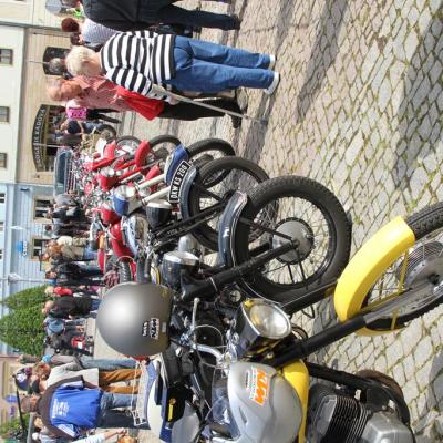 Arkady 2015 047