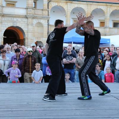 Arkady 2017 120